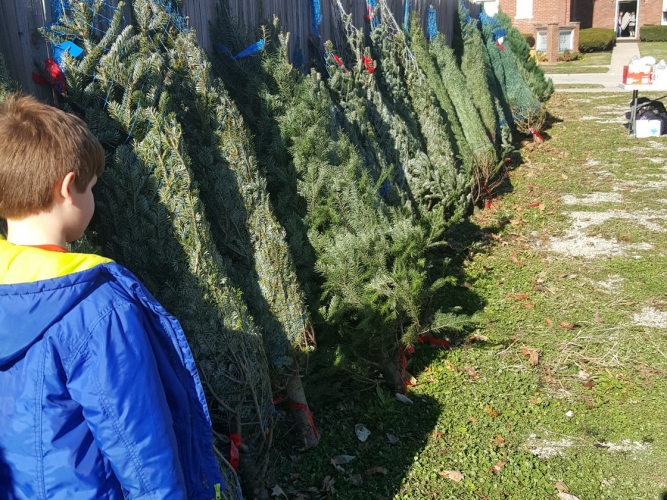 Christmas Tree Outreach